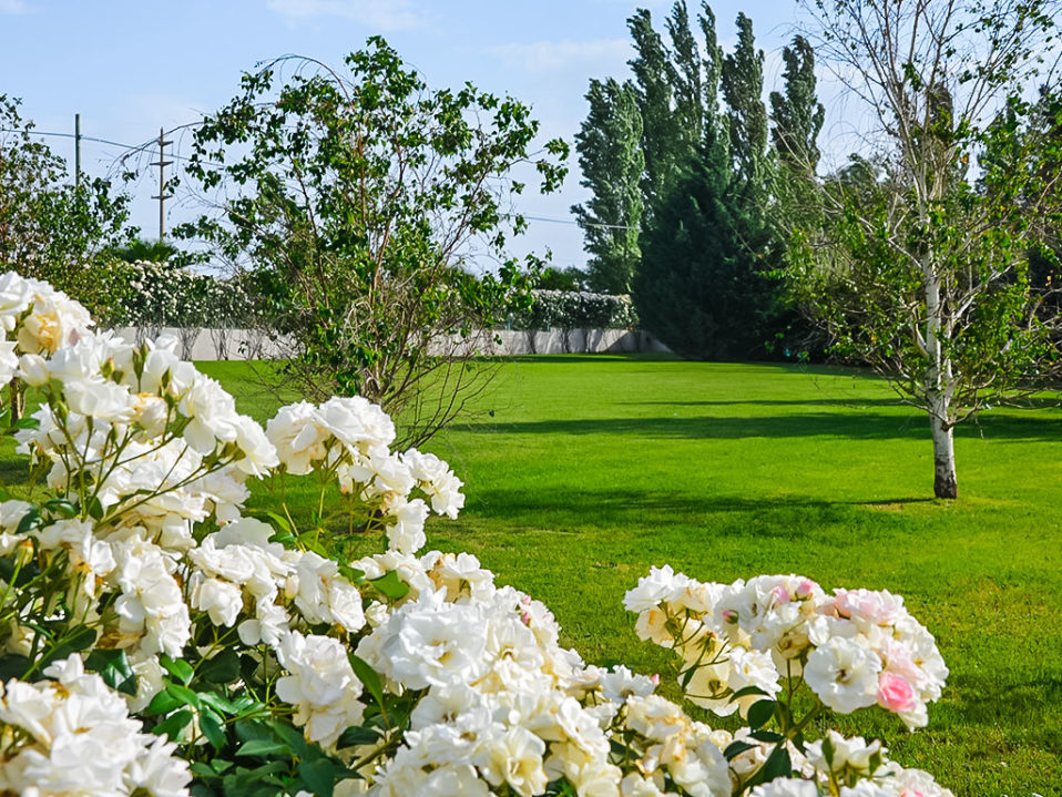 Jardin-del-Recuerdo-Cementerio-Parque-Parque-958x719